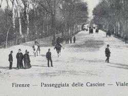 Vykort Firenze Passeggiata delle Cascine Viale del Re
