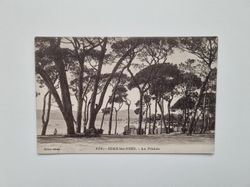 Vykort JUAN-les-PINS. - La Pinède