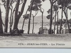 Vykort JUAN-les-PINS. - La Pinède