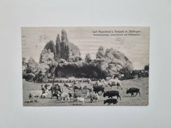 Vykort Carl Hagenbeck's Tierpark in Stellingen