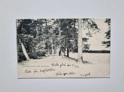 Vykort Strandpromenaden, Ryds Sanatorium 1903