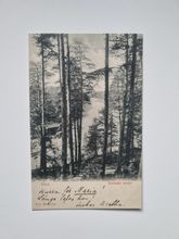 Vykort Höst. Svenskt motiv, 1902