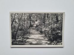 Vykort Göteborg. Motiv från Botaniska Trädgården 1927