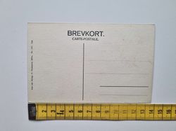 Vykort Helagsfjellet från Öfre Skärvagen.