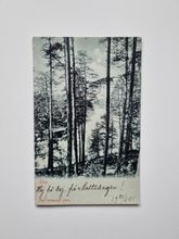 Vykort Höst 1901. Paul Heckscher, Sthlm.