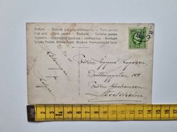 Vykort natur, skog 1905