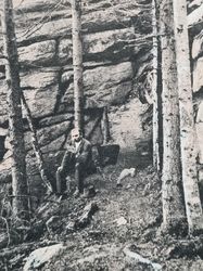 Vykort Harback, N.-Ö. Mandelstein 859 m