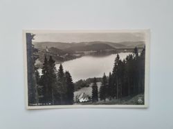 Vykort Titisee 860 m 0. M.