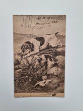 Vykort på hund, jakthund 1918