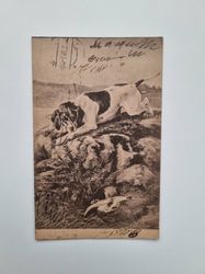 Vykort på hund, jakthund 1918