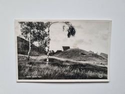 Vykort Gamla Uppsala högar