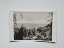 Vykort Norrviken. Japanska trädgården