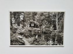 Vykort Naturparken, Fryksta