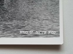 Vykort Kibbutz Ein gev. Sea of Galilee. Israel