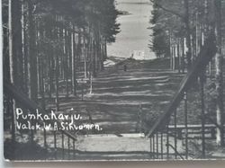 Vykort / bild. Finland. Punkaharju Valok. W. A. Sihuompn