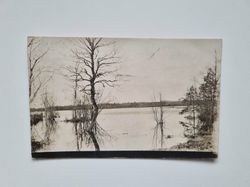 Vykort Naturbild 1912