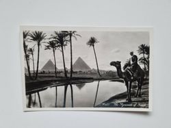 Vykort Egypten. The Pyramids Of Giza