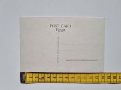 Vykort Egypten. The Pyramids Of Giza