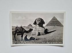 Vykort Egypten. Sfinxen i Giza