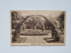 Vykort Halmstad. Rosallén Tivoli 1919
