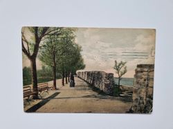 Vykort Visby. Studentallén 1906