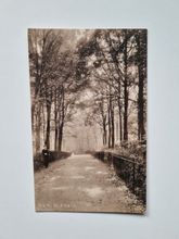 Vykort Walk, St. Albans. England