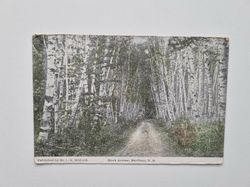 Vykort Birch Avenue, Marlboro, N. H