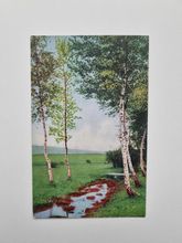 Vykort natur, träd 1918