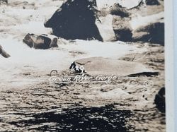 Vykort Washington. Green River Gorge 1928