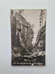 Vykort Böhm.-Sächs, Schweiz, Wilde Klamm, Fuchsstein