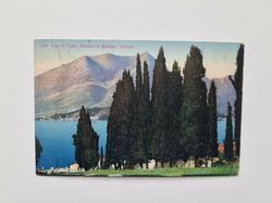 Vykort Lago di Como. Dintorni di Bellagio Cipressi 1920
