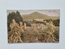 Vykort An Autumn Scene, Dorset Hollow Dorset, Vermont 1941