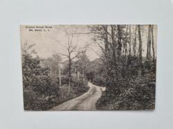Vykort Crystal Brook Road. Mt. Sinai, L. I., 1924