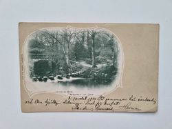 Vykort England. Jesmond Dene, Newcastle upon Tyne 1901
