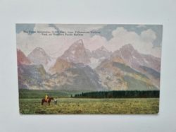 Vykort The Teton Mountains 1917