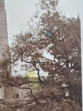 Vykort England, Ely Cathedral