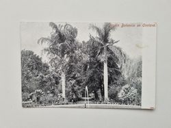 Vykort Jardin Botanico en Orotava