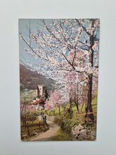 Vykort Frühling in Südtirol, Italien