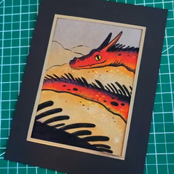 Drake med skatt - specialutgåva m. passepartout