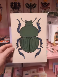 Skalbagge