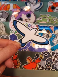Fiskmås - sticker