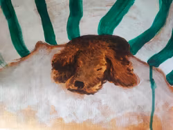 Sovande hund