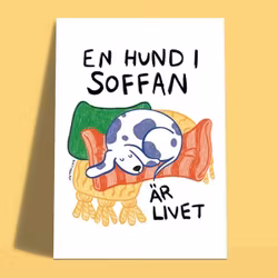 Vykort - hund i soffan