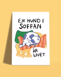 Vykort - hund i soffan