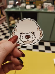 Lagotto - sticker