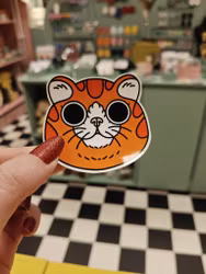 Orange katt - sticker