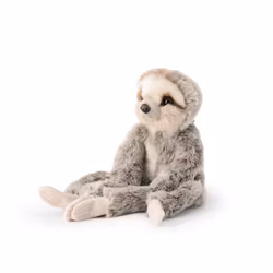 Hängande Sengångare