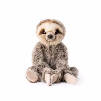 Hängande Sengångare