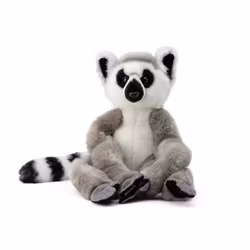 Hängande Lemur