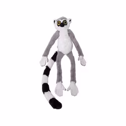 Nature Planet Lemur